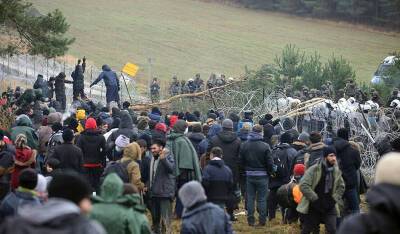 Десятки мигрантов прорвались в Польшу через границу с Белоруссией - og.ru - Белоруссия - Германия - Польша