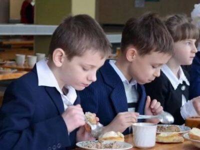 Петр Шелищ - В Союзе потребителей заявили об ухудшении школьной еды - kasparov.ru - Россия