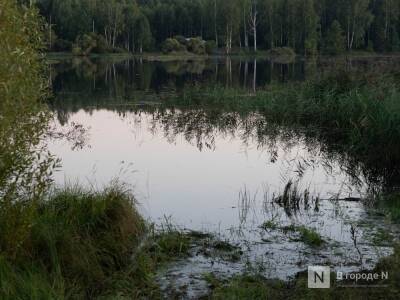 Мужчина утонул в реке в Уренском районе - vgoroden.ru - Россия - Нижегородская обл.