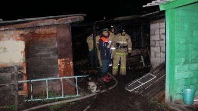 В Пензенской области при пожаре погибли три человека - penzainform.ru - Россия - Пензенская обл.