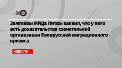 Замглавы МИДа Литвы заявил, что у него есть доказательства сознательной организации Белоруссией миграционного кризиса - echo.msk.ru - Москва - Белоруссия - Литва
