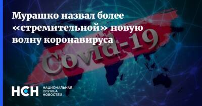 Михаил Мурашко - Александр Гинцбург - Мурашко назвал более «стремительной» новую волну коронавируса - nsn.fm