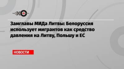 Мантас Адоменас - Замглавы МИДа Литвы: Белоруссия использует мигрантов как средство давления на Литву, Польшу и ЕС - echo.msk.ru - Москва - Белоруссия - Польша - Литва
