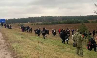 В Польше за пособничество нелегальным мигрантам задержали российского гражданина - og.ru - Россия - Белоруссия - Польша - Швеция - Литва - Курдистан