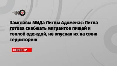 Замглавы МИДа Литвы Адоменас: Литва готова снабжать мигрантов пищей и теплой одеждой, не впуская их на свою территорию - echo.msk.ru - Москва - Литва