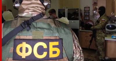 В Крыму арестовали украинского шпиона - profile.ru - Россия - Украина - Крым - Ялты