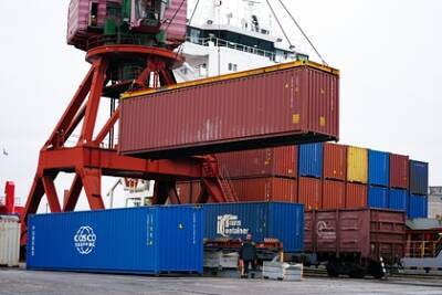 Проблемы с поставками продуктов в Приморье пообещали решить за три недели - lenta.ru - Приморье край