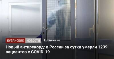 Новый антирекорд: в России за сутки умерли 1239 пациентов с COVID-19 - kubnews.ru - Москва - Россия - Санкт-Петербург - Московская обл.