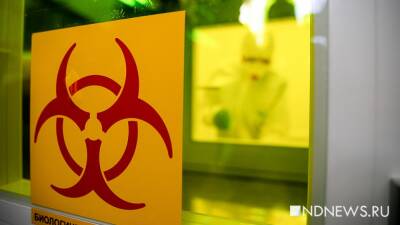 В Свердловской области больше 900 больных Covid-19 находятся в тяжелом состоянии - newdaynews.ru - Екатеринбург - Симферополь - Свердловская обл.