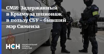 СМИ: Задержанный в Крыму за шпионаж в пользу СБУ - бывший мэр Симеиза - nsn.fm - Украина - Крым - Ялты