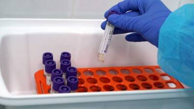 Александр Гинцбург - В России за сутки выявили 38 058 новых случаев COVID-19 - iz.ru - Москва - Россия - Санкт-Петербург - Израиль - Московская обл.