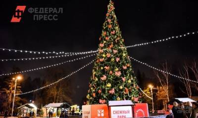 Валерий Малинин - Ждать ли снега в Петербурге на Новый год - fedpress.ru - Россия - Санкт-Петербург