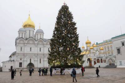 Елен Крылов - Выбрана главная новогодняя елка России - tvc.ru - Россия - Московская обл. - городское поселение Щелково