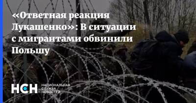 Владимир Жарихин - «Ответная реакция Лукашенко»: В ситуации с мигрантами обвинили Польшу - nsn.fm - Италия - Белоруссия - Германия - Польша - Испания