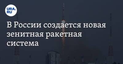 Владимир Путин - В России создается новая зенитная ракетная система - ura.news - Россия - Сочи