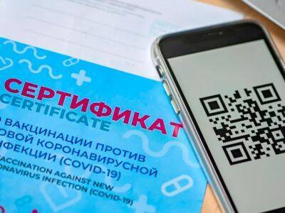 РБК: Российские власти обсуждают введение QR-кодов в самолетах и поездах - kasparov.ru