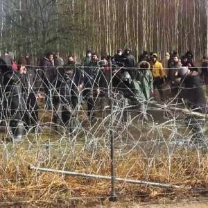 Петр Мюллер - Польша пригрозила Беларуси закрыть границу из-за мигрантов - reporter-ua.com - Белоруссия - Польша