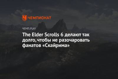 Тодд Говард - The Elder Scrolls 6 делают так долго, чтобы не разочаровать фанатов «Скайрима» - championat.com