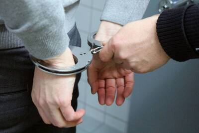 Судимые почти 20 раз преступники арестованы за кражу в Ломоносовском районе - mk.ru - Бокситогорск - Пикалево