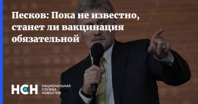 Дмитрий Песков - Александр Гинцбург - Песков: Пока не известно, станет ли вакцинация обязательной - nsn.fm - Россия - Санкт-Петербург