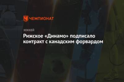 Рижское «Динамо» подписало контракт с канадским форвардом - championat.com - Рига