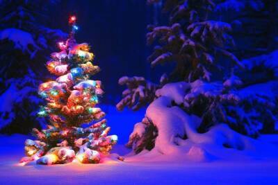 Валерий Малинин - Метеоролог рассказал, будет ли снег на Новый год - spb.mk.ru - Россия - Санкт-Петербург