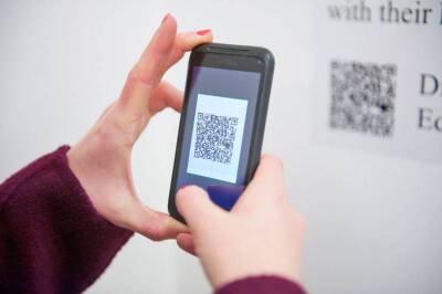 В Кремле отреагировали на возможное введение QR-кодов в поездах РЖД - pravda-tv.ru - Россия