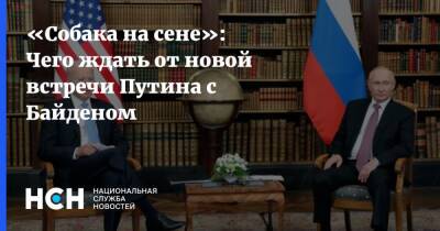 Владимир Путин - Джо Байден - «Собака на сене»: Чего ждать от новой встречи Путина с Байденом - nsn.fm - Москва - Россия - США - Вашингтон - с. Байден