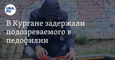 В Кургане задержали подозреваемого в педофилии - ura.news - Россия - Курганская обл. - Курган