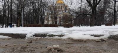 Мокрый снег с порывистым ветром придут в Карелию 11 ноября - stolicaonego.ru - Петрозаводск - республика Карелия