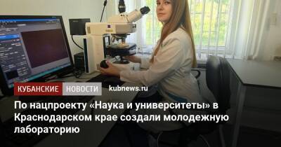 По нацпроекту «Наука и университеты» в Краснодарском крае создали молодежную лабораторию - kubnews.ru - Россия - Краснодарский край - Краснодар
