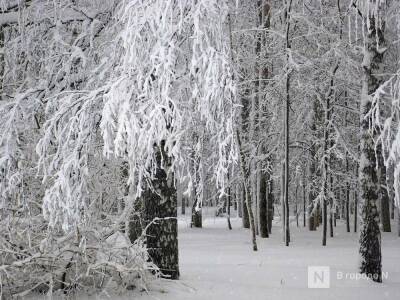 Снежный покров в Нижегородской области установится на этой неделе - vgoroden.ru - Нижегородская обл.