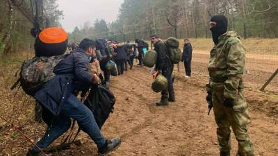 Штеффен Зайберт - Германия готова помочь мигрантам на польско-белорусской границе - news-front.info - Белоруссия - Германия - Польша - Берлин - Варшава - Брюссель