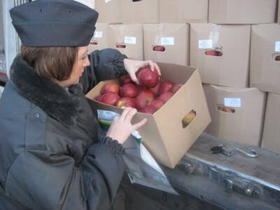 О признаках заражения продукции надо сообщать в течение суток - afanasy.biz - Россия - Тверская обл. - Ярославская обл. - Россельхознадзор