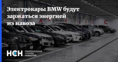 Электрокары BMW будут заржаться энергией из навоза - nsn.fm - Германия - state California