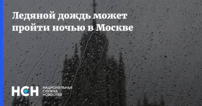 Евгений Тишковец - Ледяной дождь может пройти ночью в Москве - nsn.fm - Москва - Солнечногорск