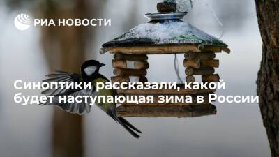 Евгений Тишковец - Синоптики рассказали, какой будет наступающая зима в России - ria.ru - Москва - Россия