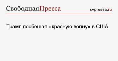 Дональд Трамп - Джо Байден - Трамп пообещал «красную волну» в США - svpressa.ru - Россия - США - Украина