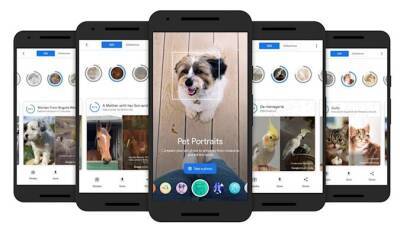 Google Arts&Culture теперь может найти вашего питомца в произведениях искусства - fainaidea.com