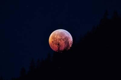 Лунное затмение 19 ноября 2021: почему его называют самым мощным в году и что нельзя делать в этот день - novos.mk.ru - Россия - Австралия - шт.Аляска