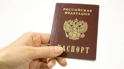 Анатолий Миронов - Юрист объяснил, в каких случаях россияне могут не предоставлять копию паспорта - mir24.tv