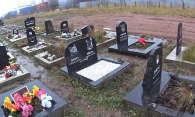 В Петрозаводске запретили хоронить домашних животных - gubdaily.ru - Россия - Петрозаводск - республика Карелия