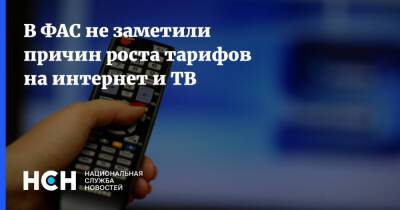 В ФАС не заметили причин роста тарифов на интернет и ТВ - nsn.fm - Россия - Тарифы