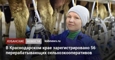 Вениамин Кондратьев - Кубани Вениамин Кондратьев - В Краснодарском крае зарегистрировано 56 перерабатывающих сельхозкооперативов - kubnews.ru - Краснодарский край