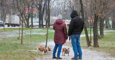 Евгений Тишковец - В Москве прошел ледяной дождь - moslenta.ru - Москва - Московская обл. - Зеленоград - Волоколамск