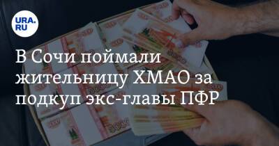 В Сочи поймали жительницу ХМАО за подкуп экс-главы ПФР - ura.news - Россия - Сочи - Краснодарский край - Югра - Нижневартовск