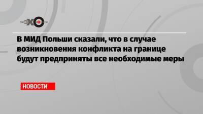 Владимир Макей - Лукаш Ясин - В МИД Польши сказали, что в случае возникновения конфликта на границе будут предприняты все необходимые меры - echo.msk.ru - Москва - Белоруссия - Польша