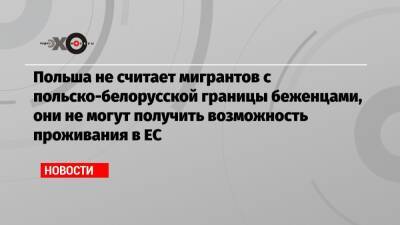 Лукаш Ясин - Польша не считает мигрантов с польско-белорусской границы беженцами, они не могут получить возможность проживания в ЕС - echo.msk.ru - Москва - Белоруссия - Польша