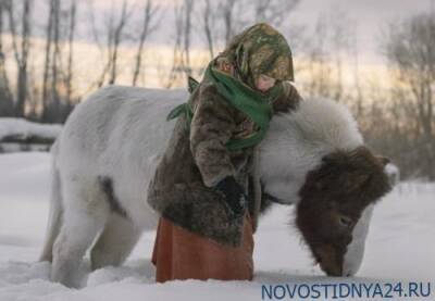Занесло снегом алчности - novostidnya24.ru - США