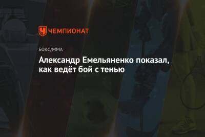 Владимир Минеев - Александр Емельяненко - Артем Тарасов - Вячеслав Дацик - Александр Емельяненко показал, как ведёт бой с тенью - championat.com - Россия